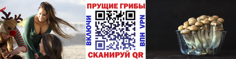 мега ТОР  Юрюзань  Псилоцибиновые грибы прущие грибы 