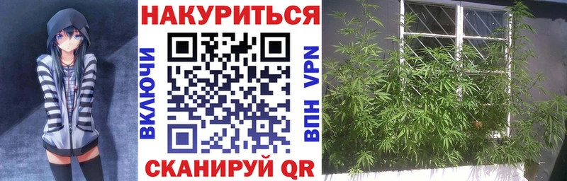 купить   Юрюзань  Бошки Шишки AK-47 